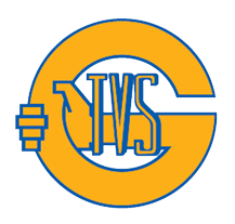 tvs
